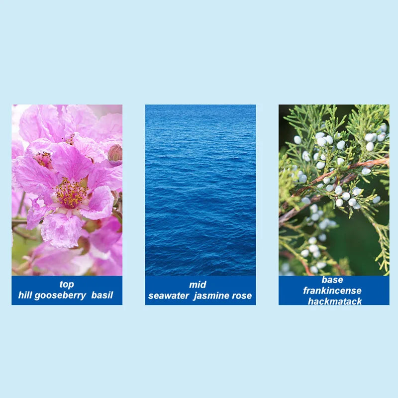 Ocean Luxury by Jaysuing 50ml